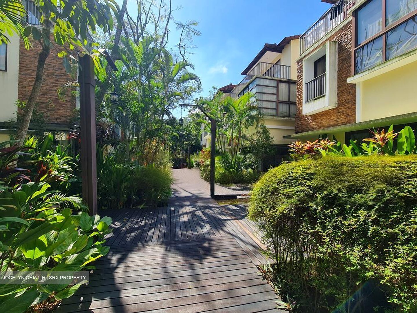 Lornie Road (D11), Terrace #578348061